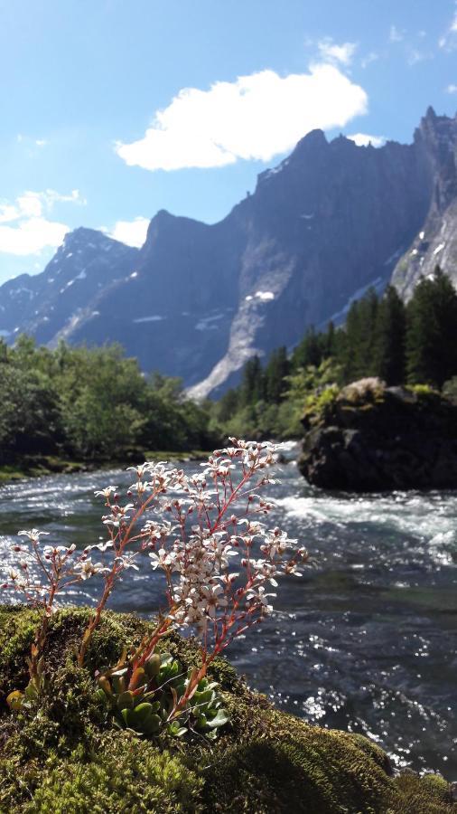 Trollveggen Camping Andalsnes Ngoại thất bức ảnh